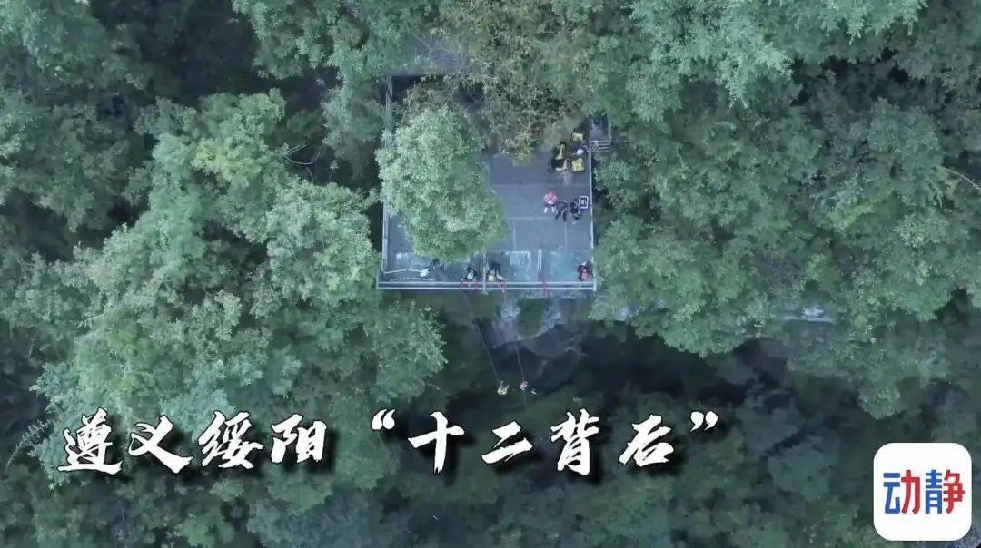 星露谷物语