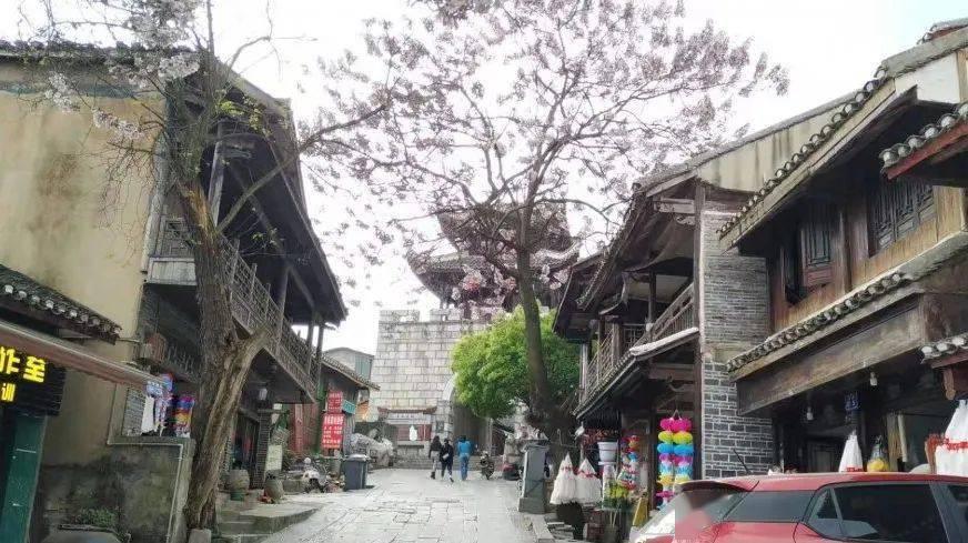 芭比娃娃的服装